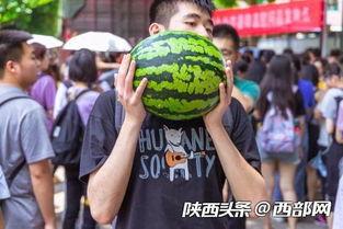 每日吃瓜 今日吃瓜体育生男友,揭秘今日体育生男友的瓜界风云